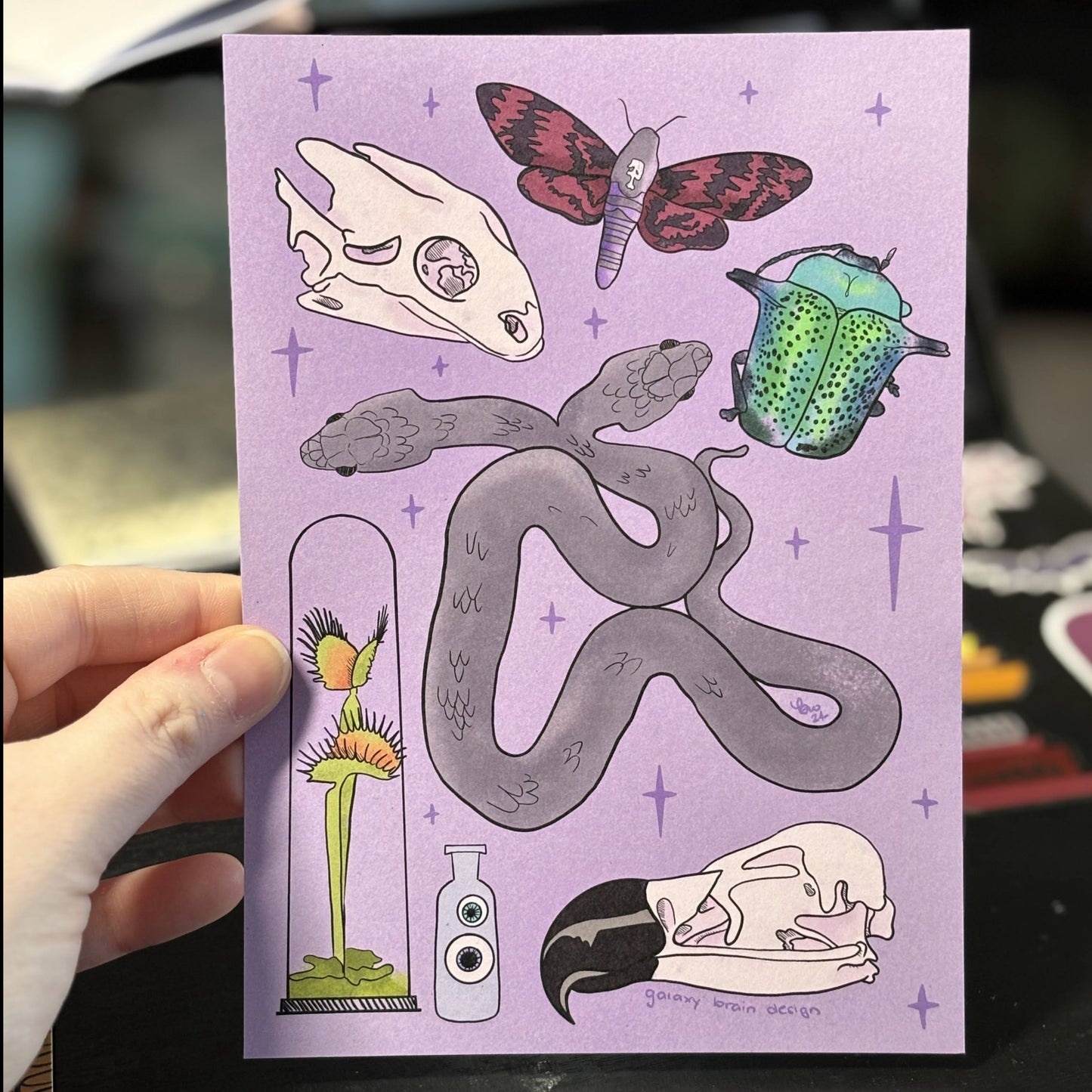 Odd Oddities Print