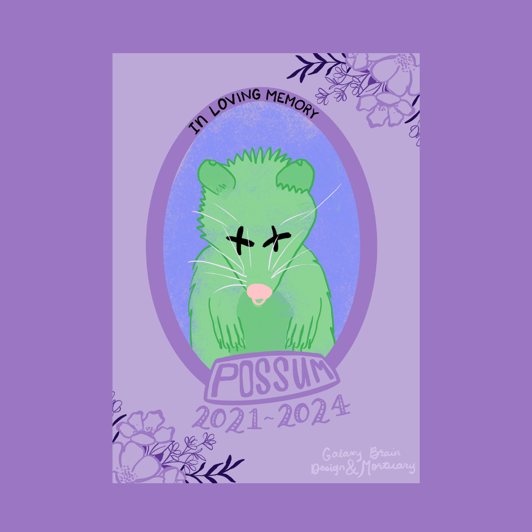 Road Kill Funeral Cards in Raccoon, Possum, and Snake
