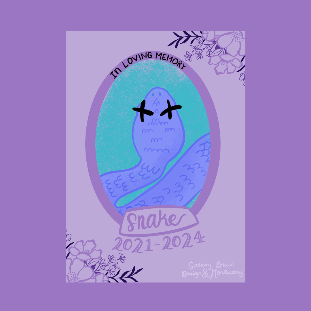 Road Kill Funeral Cards in Raccoon, Possum, and Snake