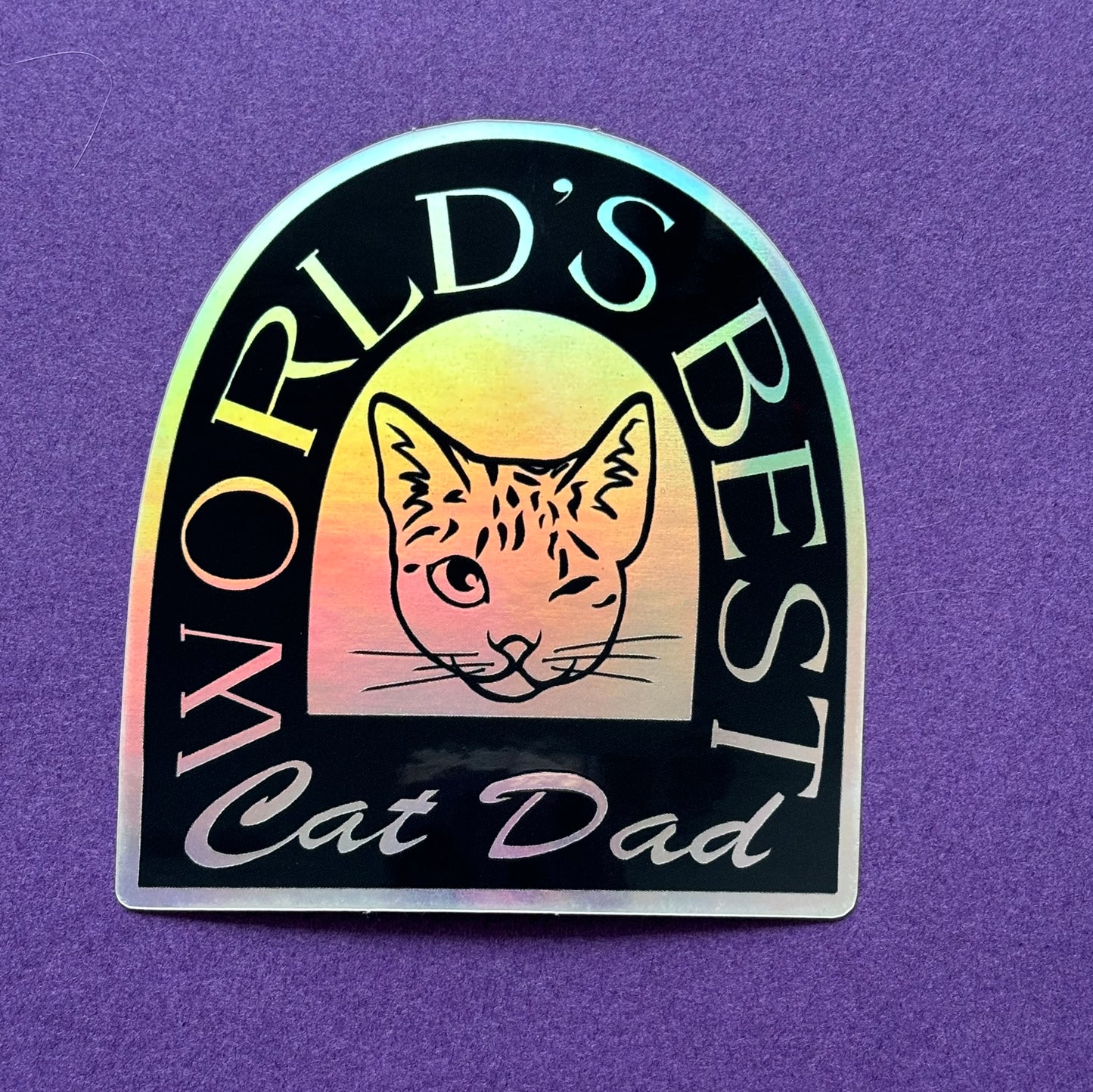 World's Best Cat Dad Holo Sticker